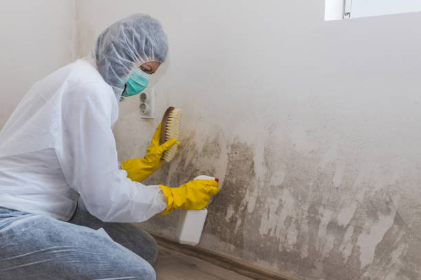 Best Crawl Space Mold Removal  in Biscayne Park, FL